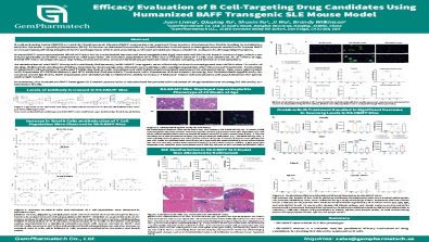 Efficacy Evaluation of B Cell-Targeting Drug Candidates Using Humanized BAFF Transgenic SLE Mouse Model